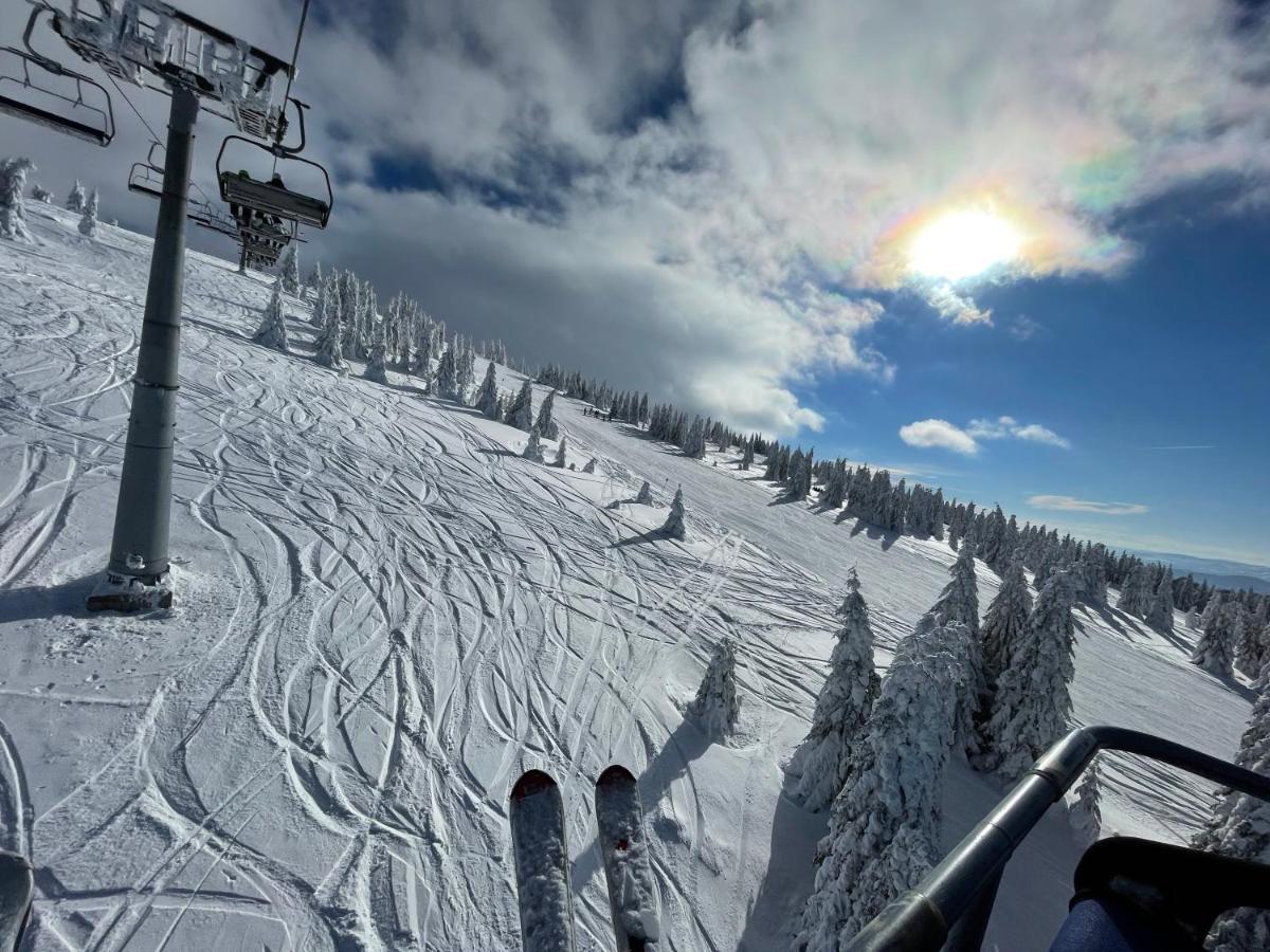 Pano Kopaonik Panorama Daire Dış mekan fotoğraf
